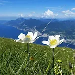 Monte Baldo Hostel *