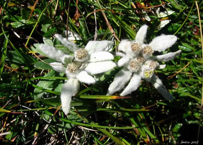 Monte Baldo Hostel Brenzone sul Garda