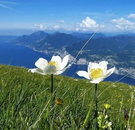 Monte Baldo Hostel *