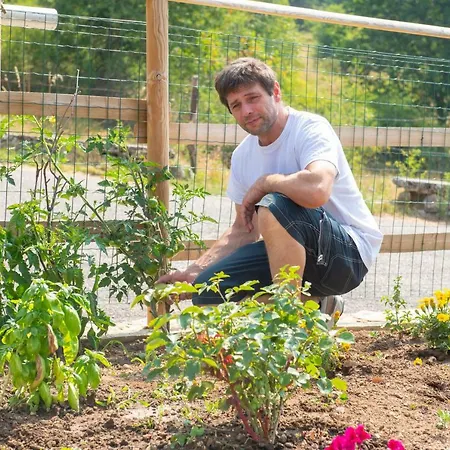 Monte Baldo بيت شباب