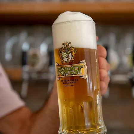 Monte Baldo بيت شباب برنزوني سول جاردا