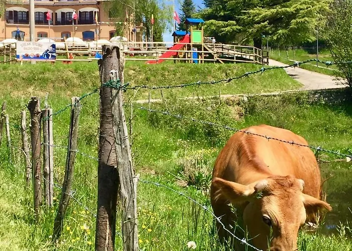 Hostel Monte Baldo *