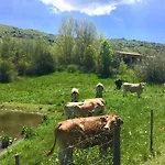 Hostel Monte Baldo