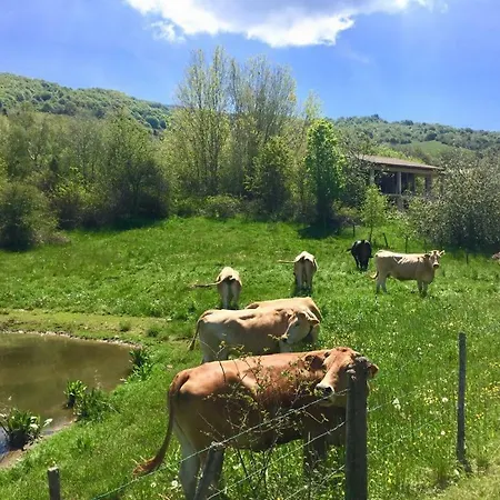 旅馆 Monte Baldo