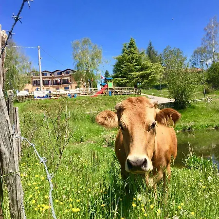 Monte Baldo Hostel *