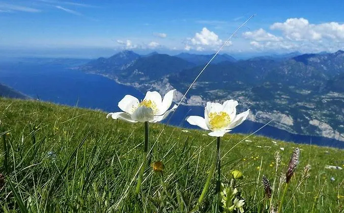 Monte Baldo Хостел *