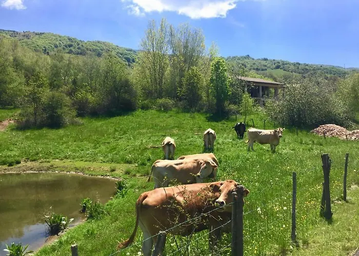 Хостел Monte Baldo