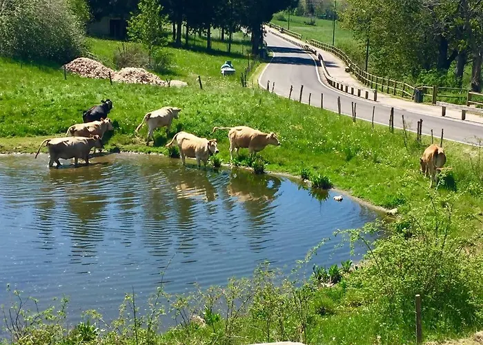 호스텔 Monte Baldo