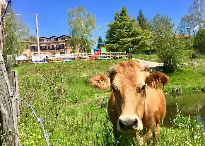 Monte Baldo 호스텔 *