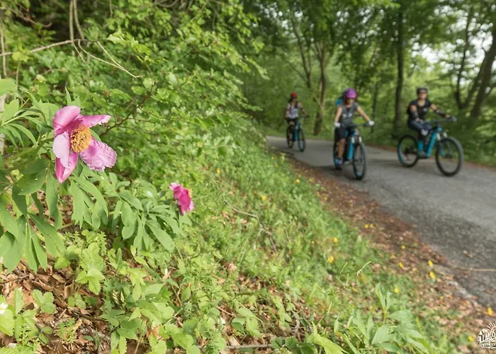Monte Baldo Brenzone sul Garda