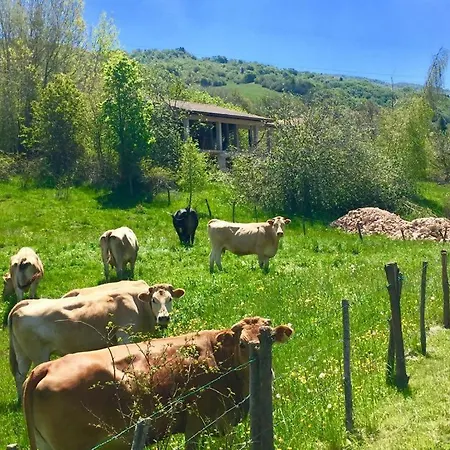 Ostello Monte Baldo