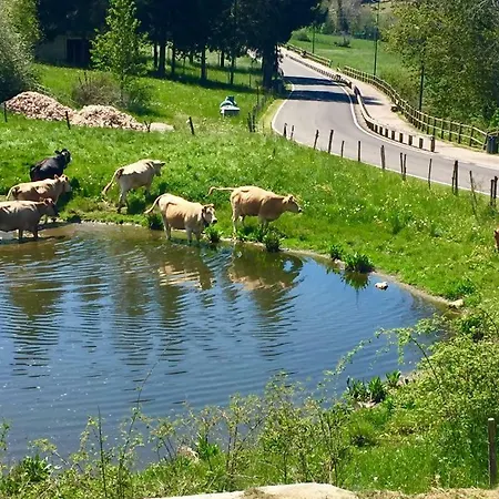 Ostello Monte Baldo