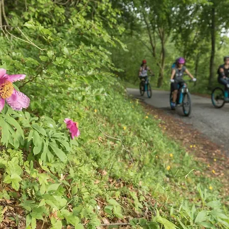 Monte Baldo Бренцоне-суль-Гарда